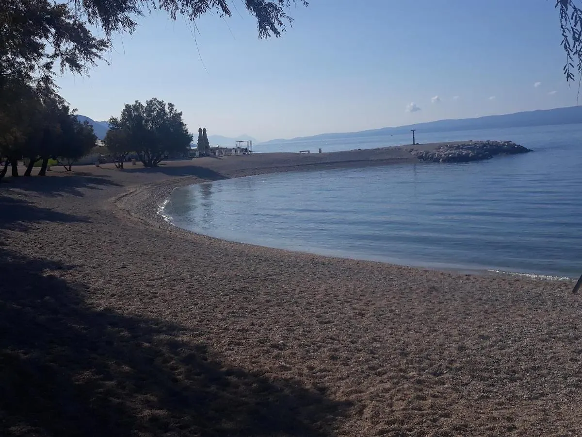 Apartman Odeska Split 0*,
